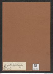 Amphitetras leptotis Ehr. (de-Toni-Nr.: Genus 137, Species 3649) Zeichnungen Sammlung Grunow Mappe 03785 (Herbarium_W_Grunow_drawings_Folder_03785)